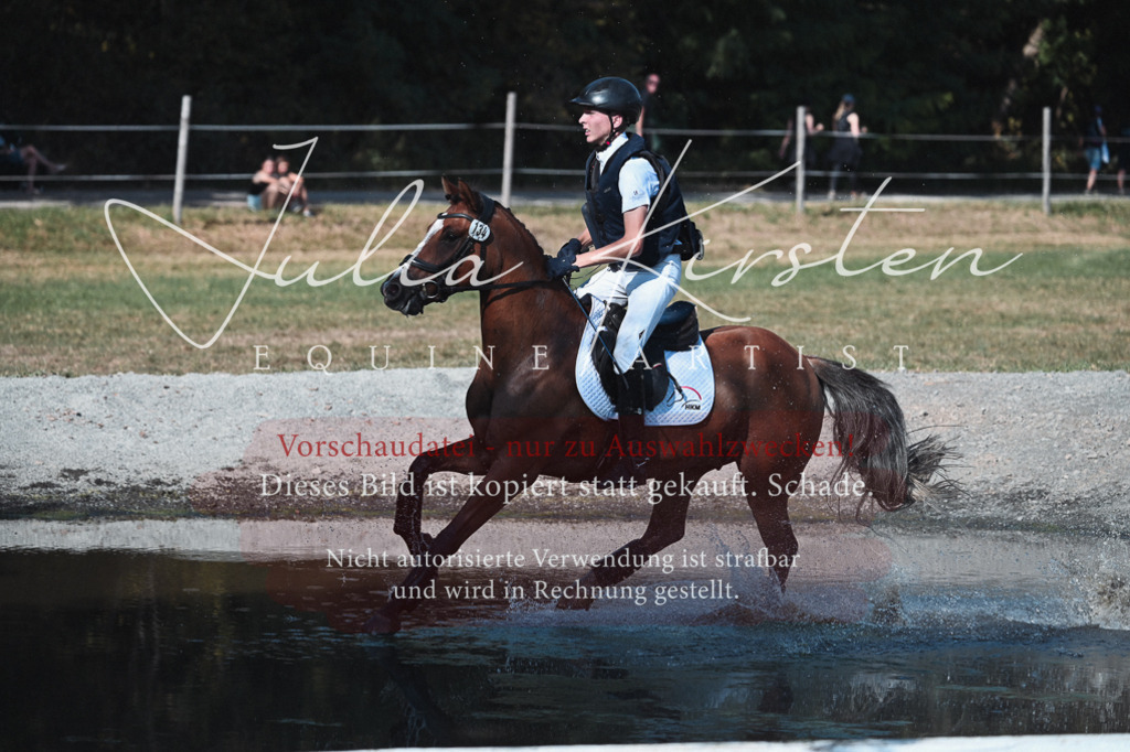 DSC_8828 | Pferde- und Turnierfotografie in Westsachsen. Pferdeportraits, Auftragszeichnungen und intuitive Kunst.