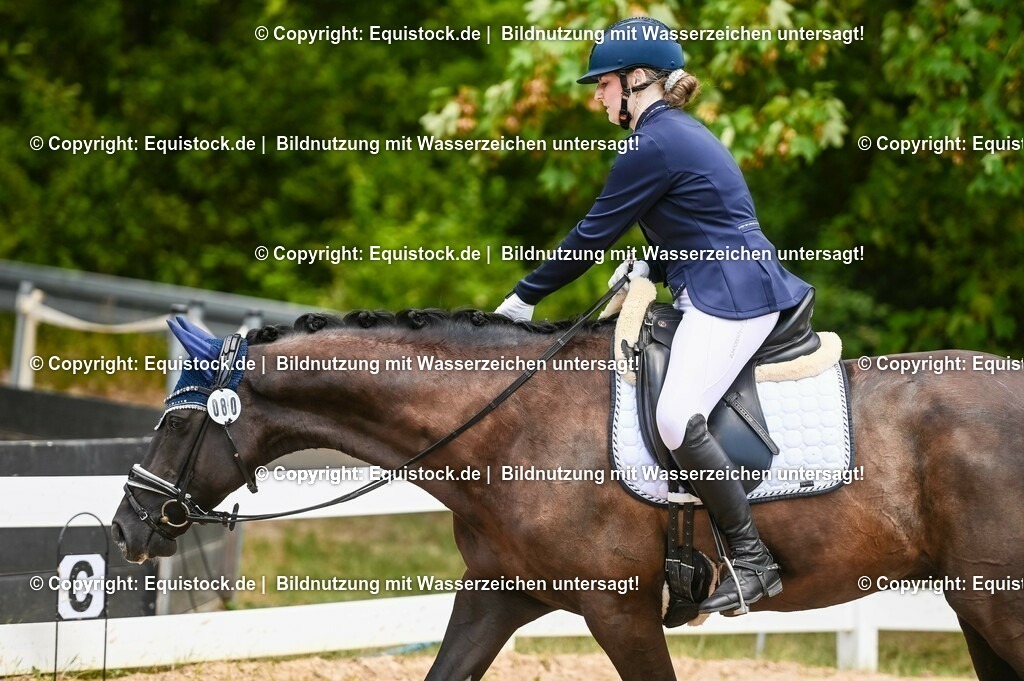 20230716_03_Dressurprfg. Kl.L - Tr._0646 | equistock
