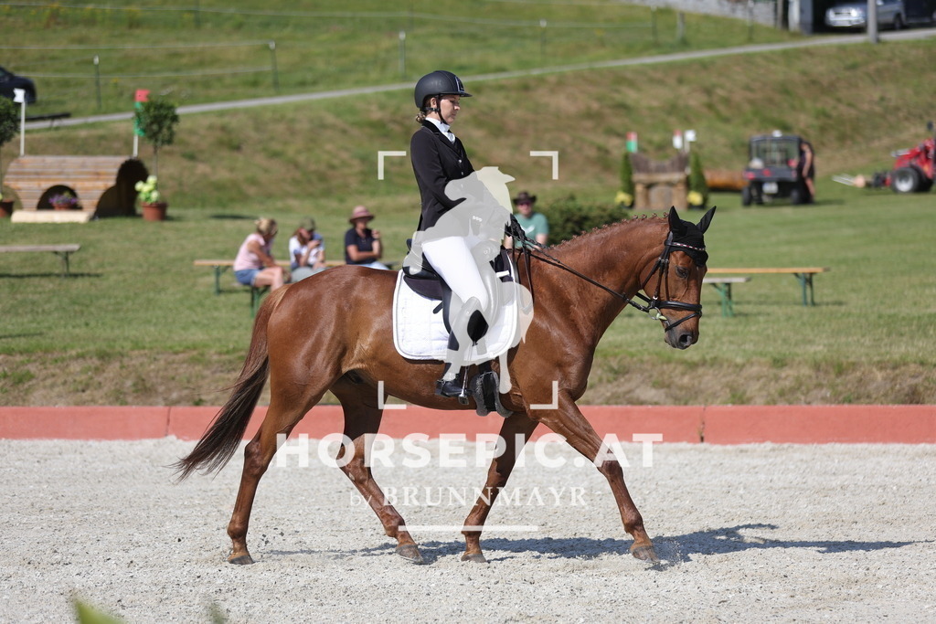 0P6A8093 | Willkommen bei Brunnmayr - Design & Fotografie – Ihrem Spezialisten für Reitturniere und Pferdeveranstaltungen in Oberösterreich, Salzburg und Bayern! Seit über 17 Jahren sind wir leidenschaftlich dabei.