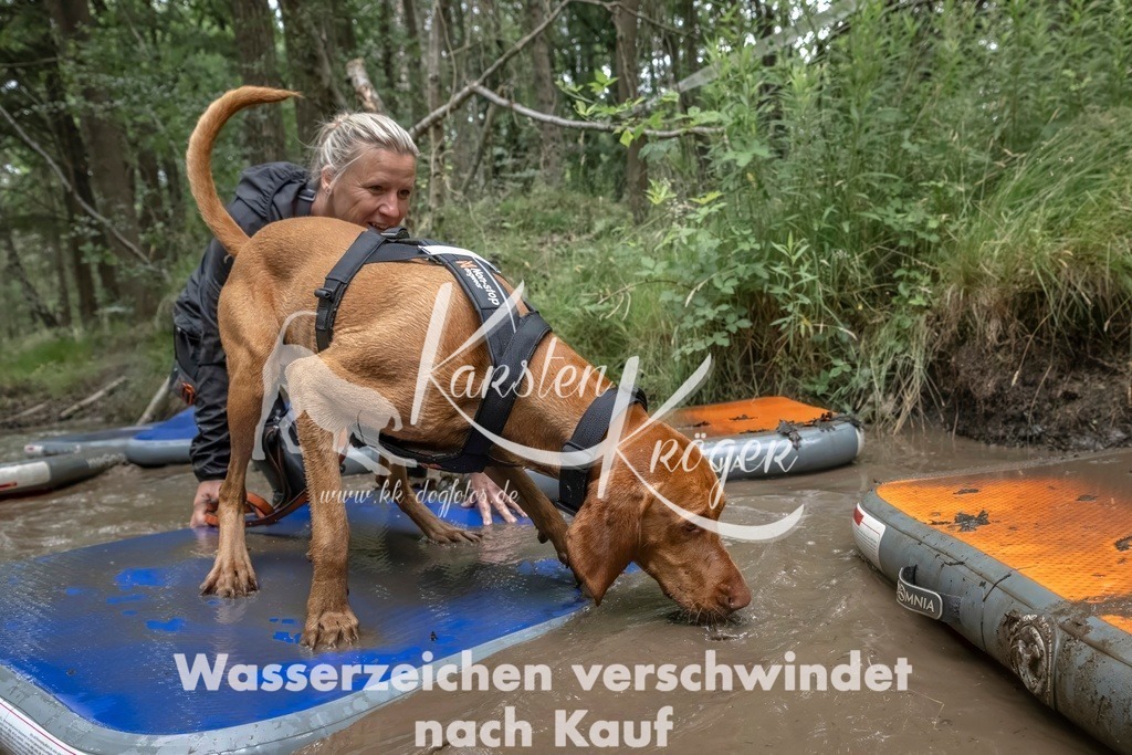 0928_ZZ92497T | kk-dogfotos
