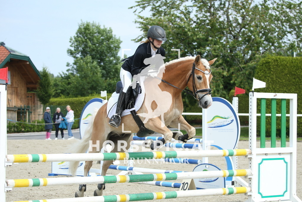 DL2Q0543 | Willkommen bei Brunnmayr - Design & Fotografie – Ihrem Spezialisten für Reitturniere und Pferdeveranstaltungen in Oberösterreich, Salzburg und Bayern! Seit über 17 Jahren sind wir leidenschaftlich dabei.