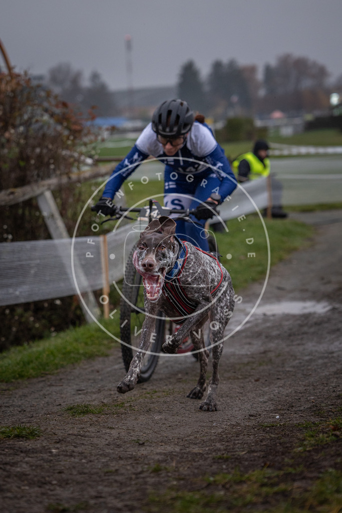 CaniXpix_0L8A0559 | Hundefotografie, Tierfotograf, Pfotenfotografie, Fotoshooting Hund, Hunde Portrait, Hundesport, Hundeportraits, Heideshooting, Hunde, Sportfotograf, Hundefotograf, Turnierhundsport, THS,  - Realisiert mit Pictrs.com