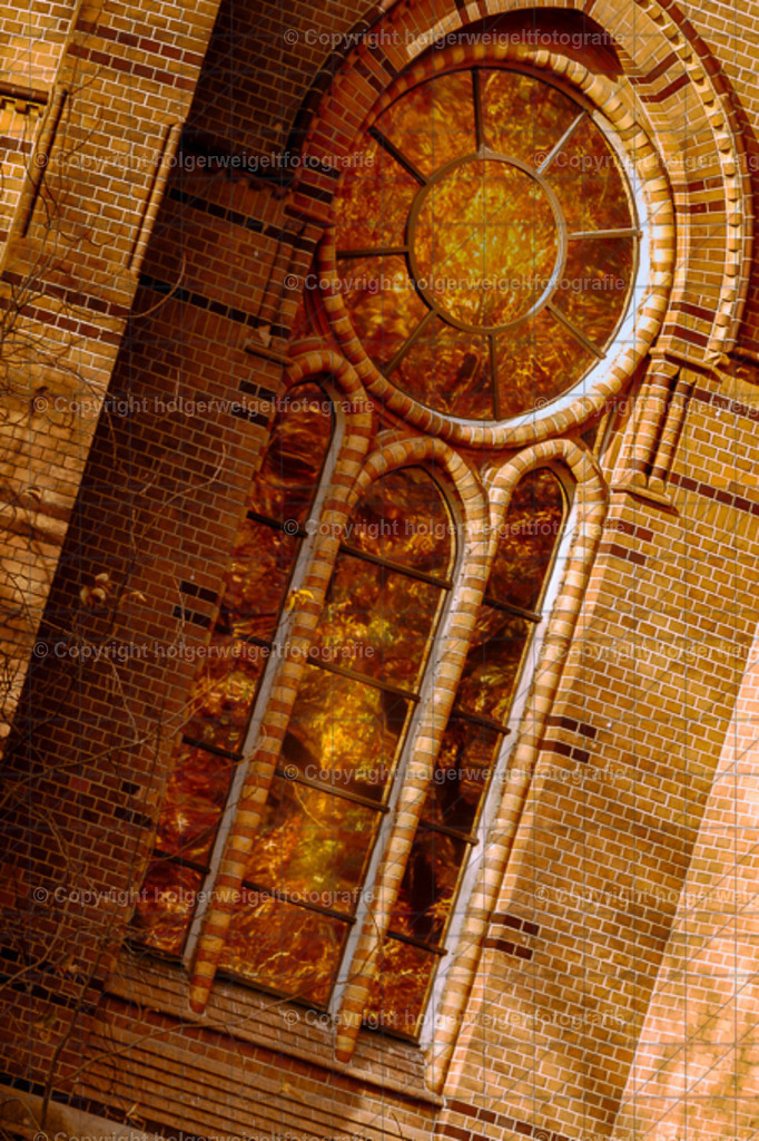 20241101144309D75_7925 | Kaufen sie online außergewöhnliche Fotografien auf Leinwand Acrylglas Fotoprint Aludibond von holgerweigeltfotografie - Realisiert mit Pictrs.com