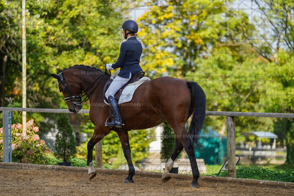 20221007-FAH09992 | Diessen am Ammersee, 2022, Dressur- und Springturnier, Reitsportbilder, Turnierfotografen Bayern, Pferdefotografen, Fotoagentur Herrmann, Turnierbilder