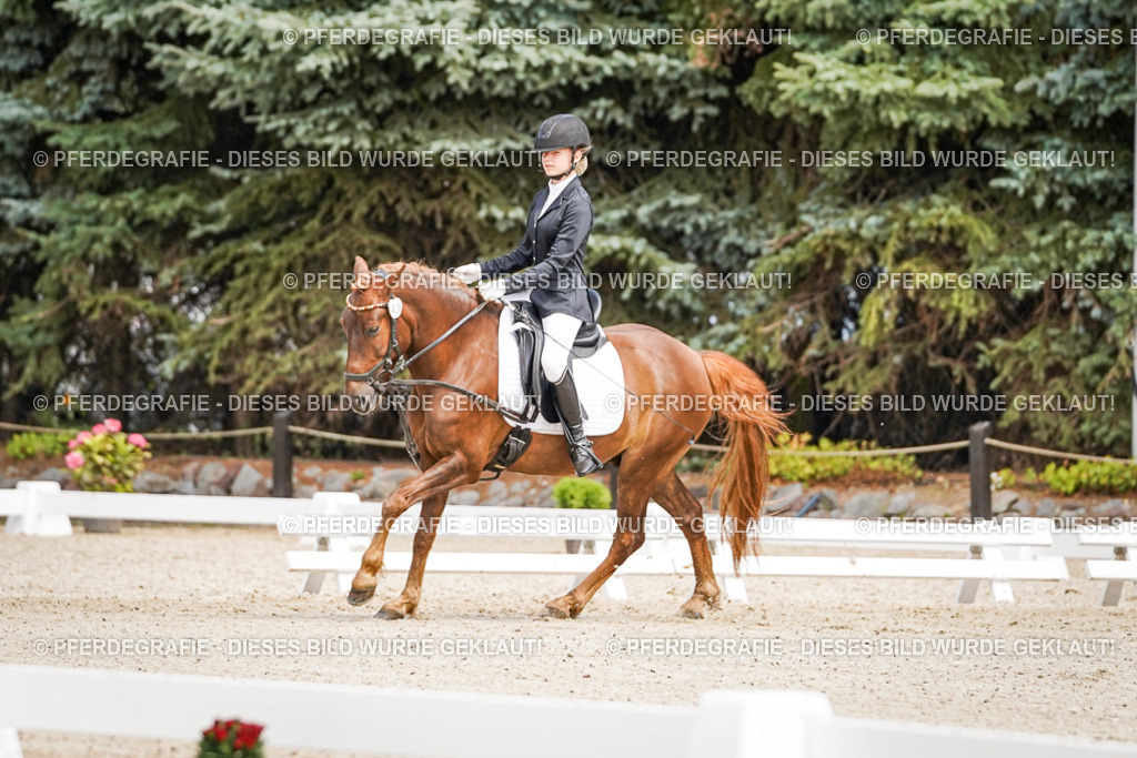 DSC02583 | Pferdegrafie