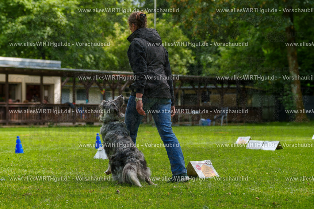 @allesWIRTHgut_Tierfotografie - www.allesWIRTHgut.de - 7R502068 | Professionelle Tierfotografie in Mönchengladbach von Daniel Wirth (allesWIRTHgut). Liebevolle & natürliche Bilder von Hunden & Katzen für unvergessliche Erinnerungen.