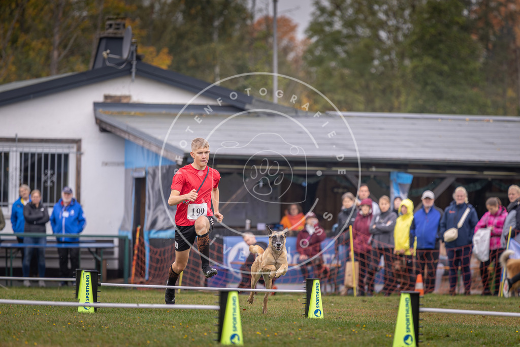Pfotenfotografie_DV3A0799 | Hundefotografie, Tierfotograf, Pfotenfotografie, Fotoshooting Hund, Hunde Portrait, Hundesport, Hundeportraits, Heideshooting, Hunde, Sportfotograf, Hundefotograf, Turnierhundsport, THS,  - Realisiert mit Pictrs.com
