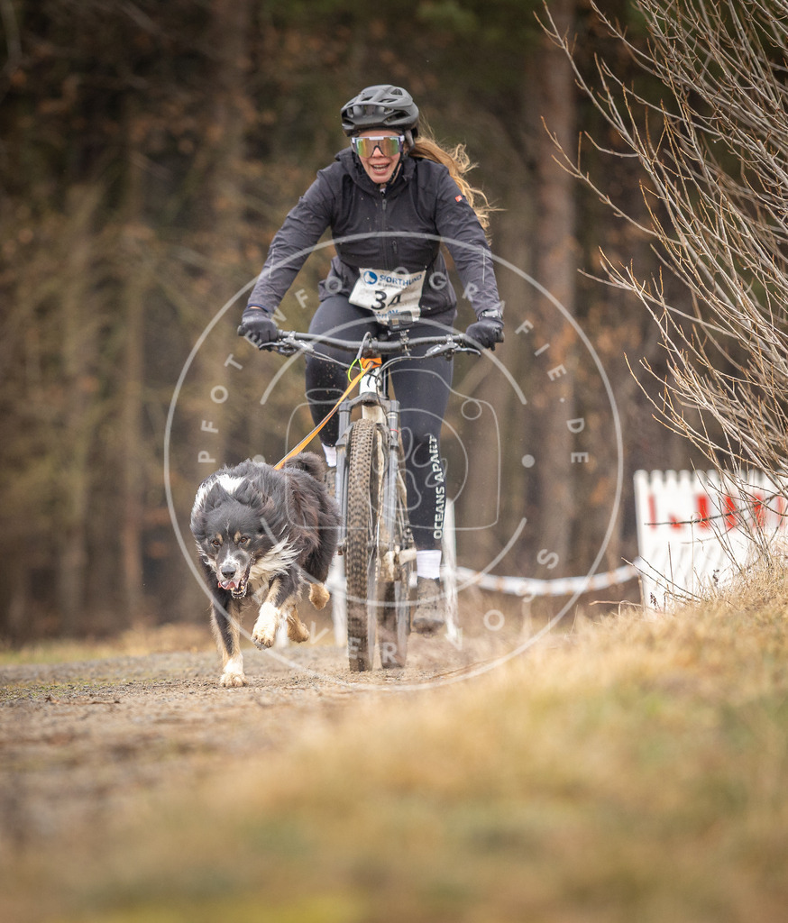 DV3A3350 | Hundefotografie, Tierfotograf, Pfotenfotografie, Fotoshooting Hund, Hunde Portrait, Hundesport, Hundeportraits, Heideshooting, Hunde, Sportfotograf, Hundefotograf, Turnierhundsport, THS,  - Realisiert mit Pictrs.com