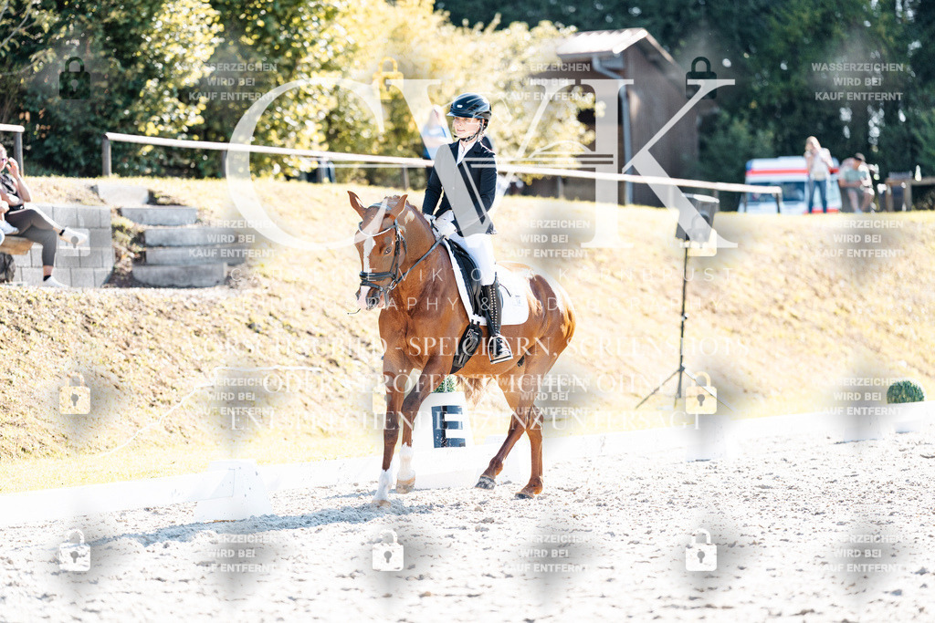 CK906087 | Turnierfotografie Pferdefotografie Trier Rheinland-Pfalz Pferdesport Reitsport Tierfotografie Sportfotografie Pferdevideo Pferdevideografie Equestrianvideography equestrianphotography  - Realisiert mit Pictrs.com