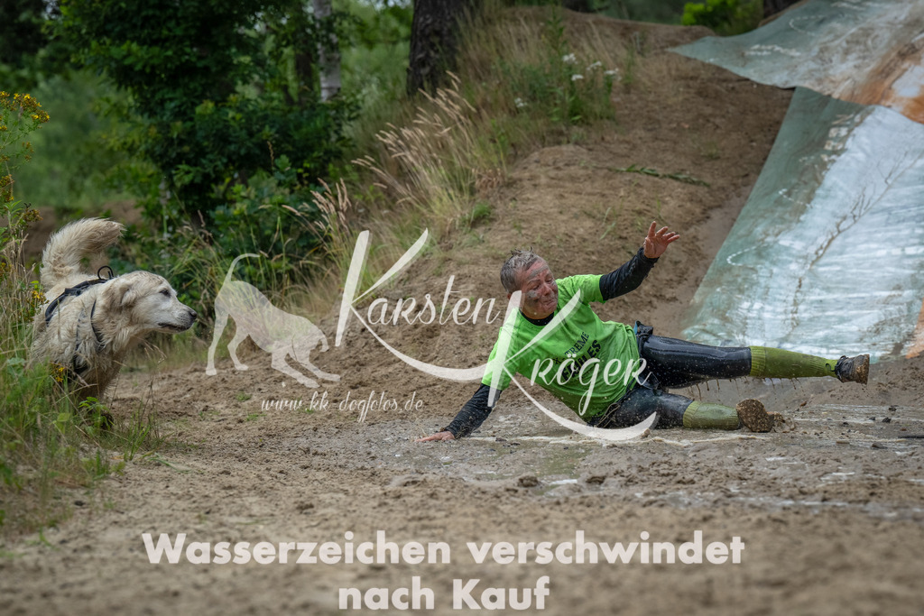 1645_ZZ92994-Bearbeitet | kk-dogfotos