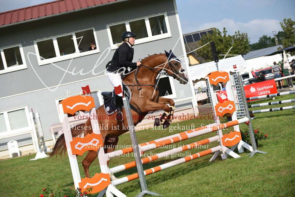 DSC_8705 | Pferde- und Turnierfotografie in Westsachsen. Pferdeportraits, Auftragszeichnungen und intuitive Kunst.