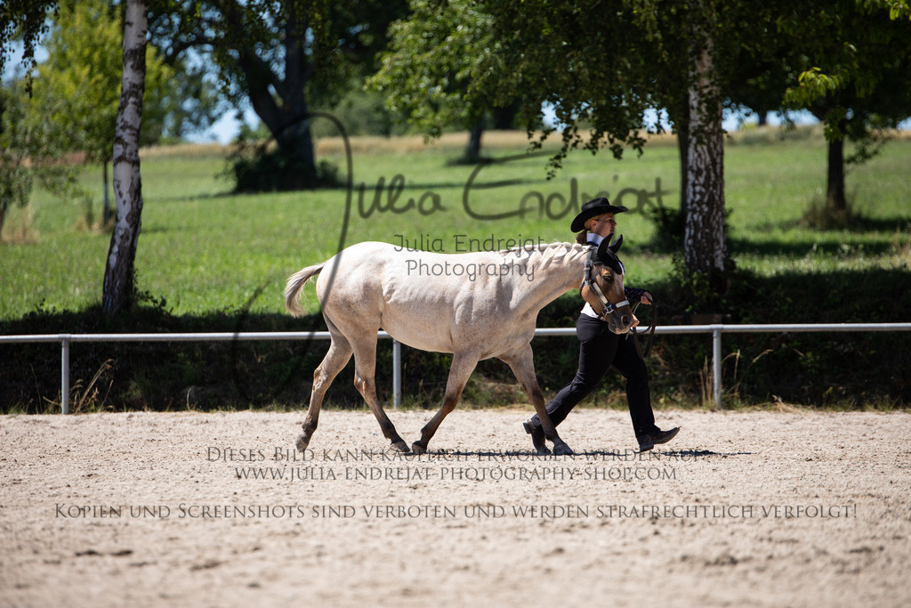 20220702-JuliaEndrejatPhotography-1329 | Julia Endrejat Photography