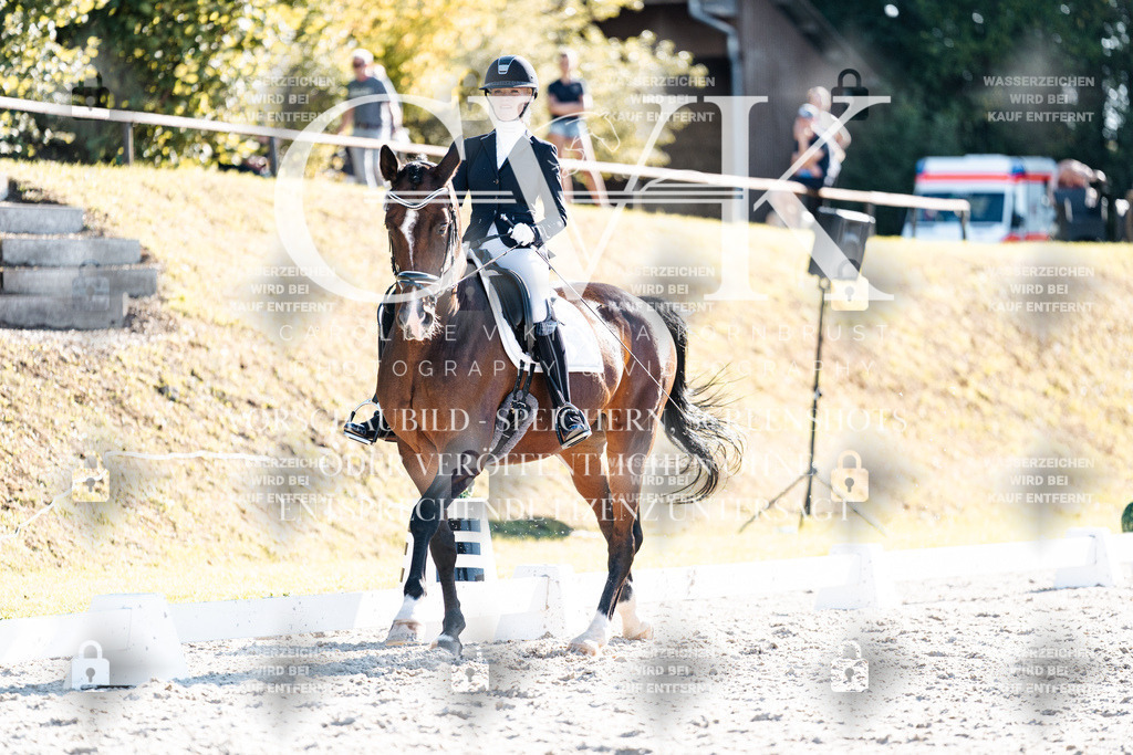 CK906524 | Turnierfotografie Pferdefotografie Trier Rheinland-Pfalz Pferdesport Reitsport Tierfotografie Sportfotografie Pferdevideo Pferdevideografie Equestrianvideography equestrianphotography  - Realisiert mit Pictrs.com