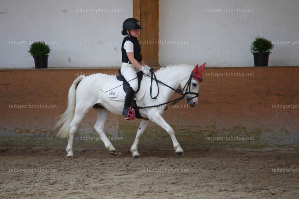 JHE33138 | JoYa Fotografie - Realisiert mit Pictrs.com