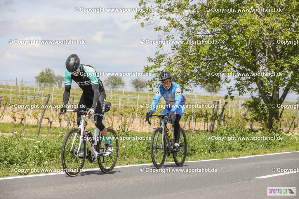 467A2196 | Neusiedlersee Radmarathon 2024                 @Neusiedlersee Radmarathon                        @Sportshotphotography                                    PhotoCredit : www.sportshot.de