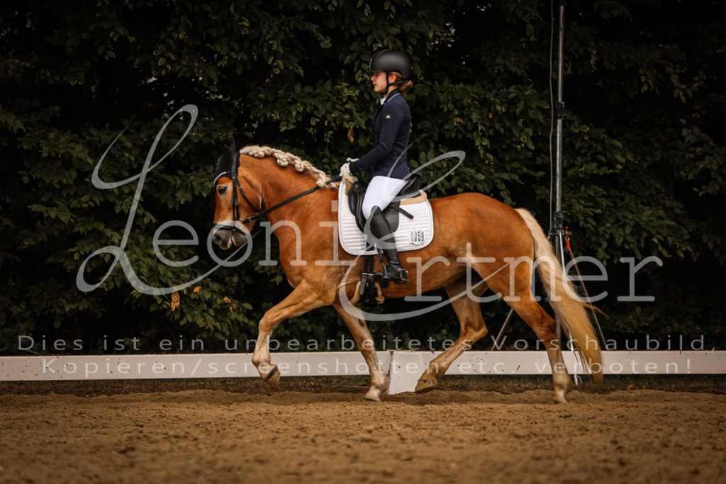 DoDrE00333 | Leoni Ertmer Photography - Realisiert mit Pictrs.com