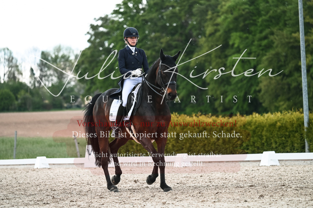 20230514_JK-Röhrsdorf-21-351 | Pferde- und Turnierfotografie in Westsachsen. Pferdeportraits, Auftragszeichnungen und intuitive Kunst.