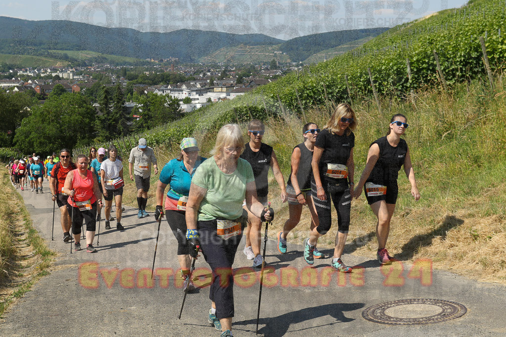 230617_1108_EV9_7678 | Sportfotografie im Rhein-Sieg Kreis, Köln, Bonn, NRW, Rheinland Pfalz, Hessen, etc. Unser Tätigkeitsfeld umfasst den Laufsport vom Volkslauf über den Marathon, Duathlon, Triathon bis zum Ultralauf wie Kölnpfad Ultra oder Schindertrail.