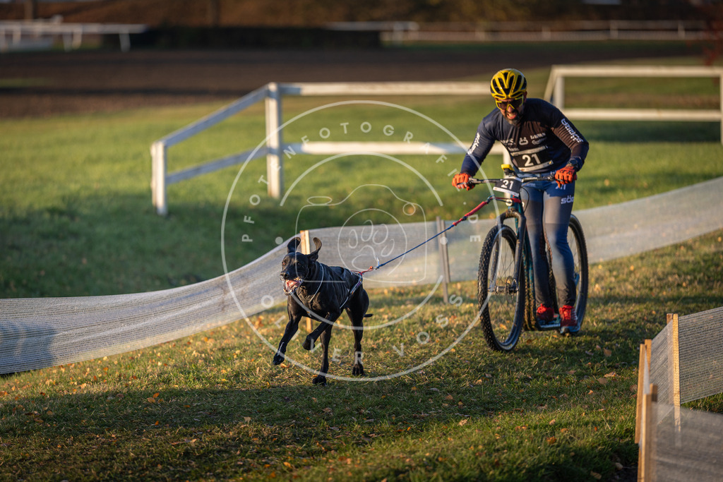 CaniXpix_DV3A9700 | Hundefotografie, Tierfotograf, Pfotenfotografie, Fotoshooting Hund, Hunde Portrait, Hundesport, Hundeportraits, Heideshooting, Hunde, Sportfotograf, Hundefotograf, Turnierhundsport, THS,  - Realisiert mit Pictrs.com