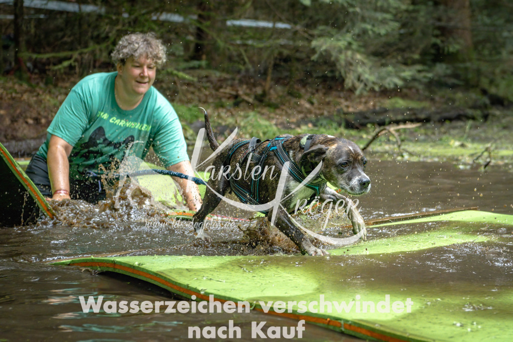 1515_ZZ94990-Bearbeitet | kk-dogfotos