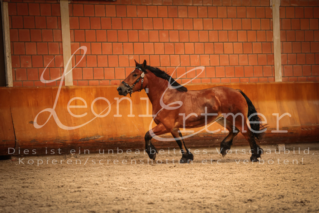 SaFL00149 | Leoni Ertmer Photography - Realisiert mit Pictrs.com