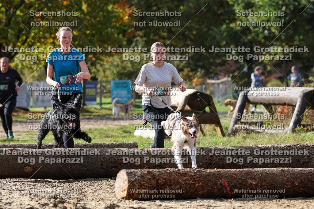 Dog Paparazzi - Strongdog 10-25-5336 | Dog Paparazzi Jeanette Grottendiek Fotografie & Videografie - Realisiert mit Pictrs.com