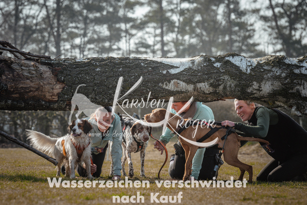 1059_ZZ94232 | kk-dogfotos