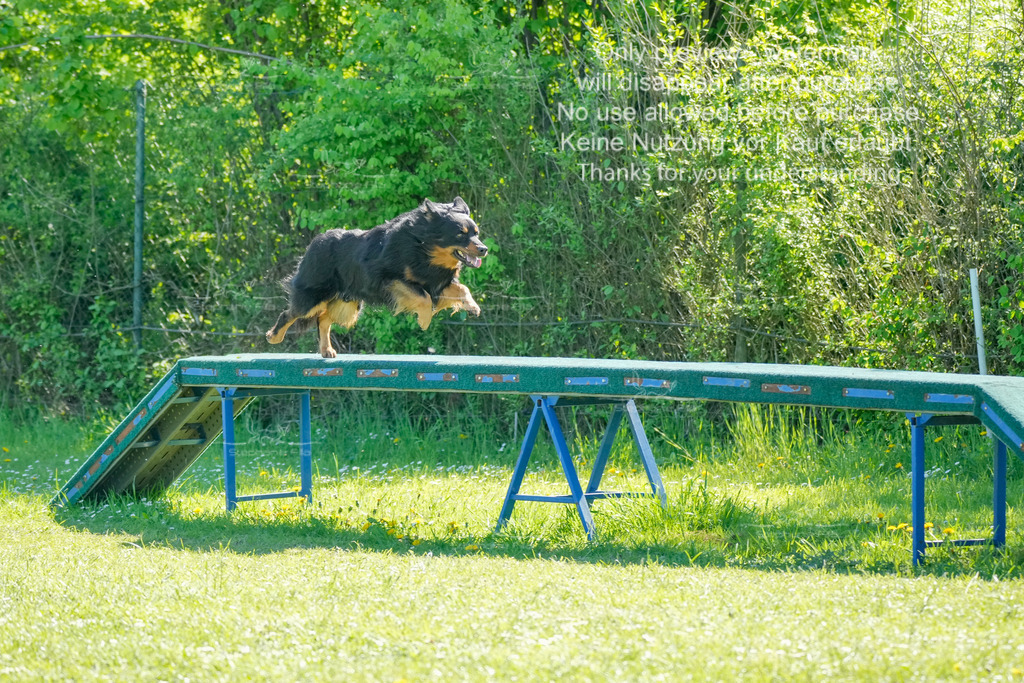 Sa_VK3_03-12 | stephaniefillaphotographie - Realisiert mit Pictrs.com