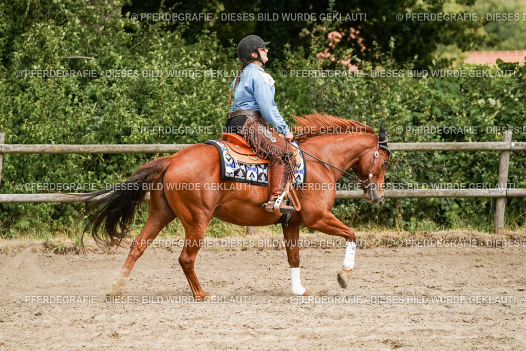 DSC00165 | Pferdegrafie