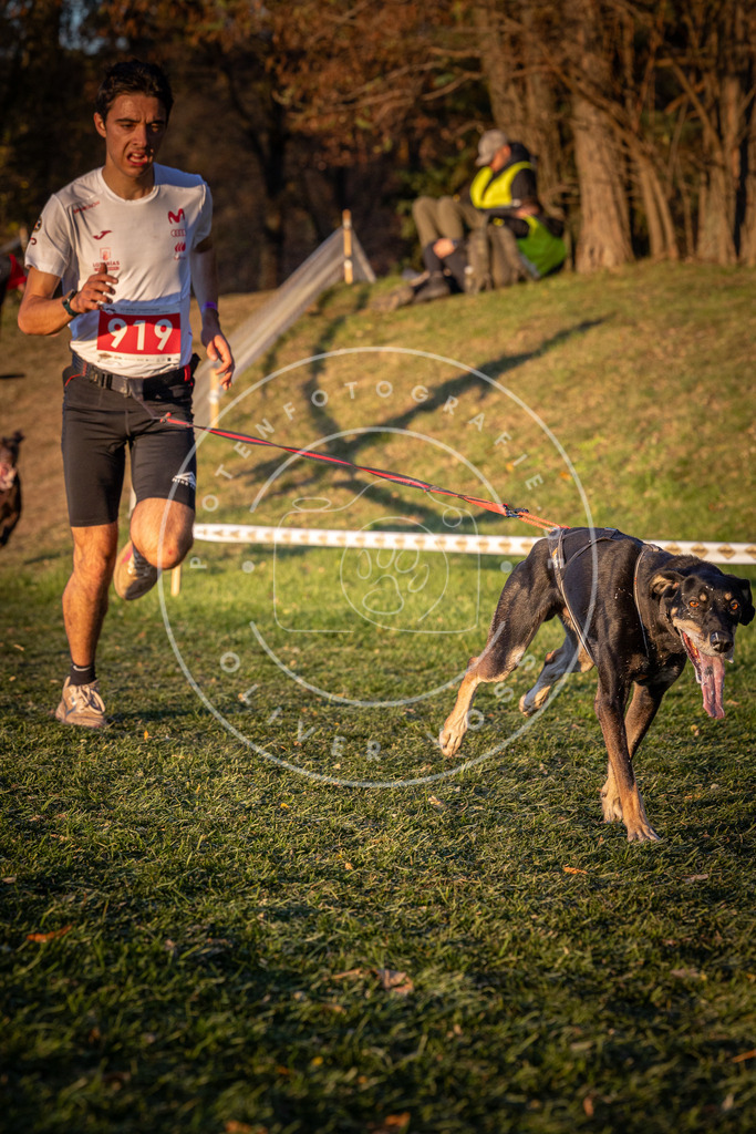 CaniXpix_0L8A1564 | Hundefotografie, Tierfotograf, Pfotenfotografie, Fotoshooting Hund, Hunde Portrait, Hundesport, Hundeportraits, Heideshooting, Hunde, Sportfotograf, Hundefotograf, Turnierhundsport, THS,  - Realisiert mit Pictrs.com
