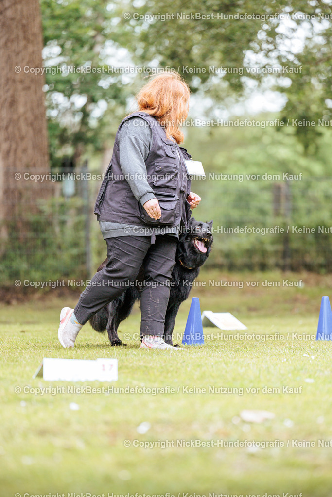 RO-Blumenthal-2026-Nickbest-Hundefotografie-3326 | Dein Hund! Dein Moment! Deine Erinnerungen! Hundefotografie in Bremen Blumenthal. Ich fange die besonderen Momente deines Vierbeiners ein – ob Indoor mit Blitzanlage oder in der freien Natur. Sicher dir dein Moment und dein Termin für eure Erinnerungen.