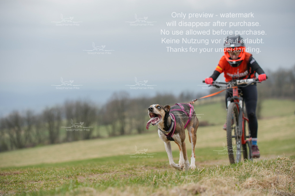 BikeSA-249 | stephaniefillaphotographie - Realisiert mit Pictrs.com