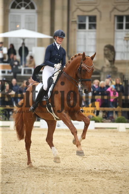Ludwigsburg_2022_Prfg.Nr.09_Nürnberger_Burg-Pokal_Carina Harnisch_DSP Sheldon Cooper (1) | Alle Fotos der Reiterjournal Fotografin Doris Matthaes im Reiterjournal Online-Fotoshop. - Realisiert mit Pictrs.com