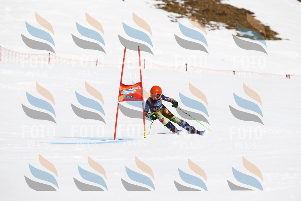 _U3G4313 | holidayphoto