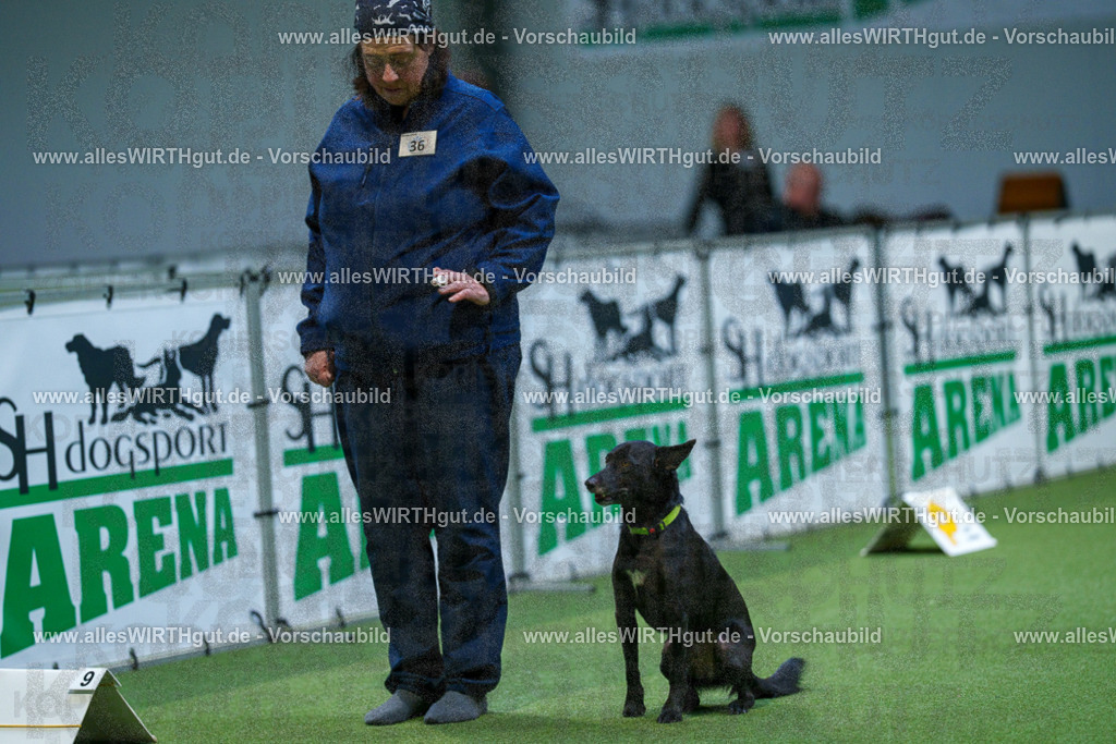 7R505992 | Professionelle Tierfotografie in Mönchengladbach von Daniel Wirth (allesWIRTHgut). Liebevolle & natürliche Bilder von Hunden & Katzen für unvergessliche Erinnerungen.