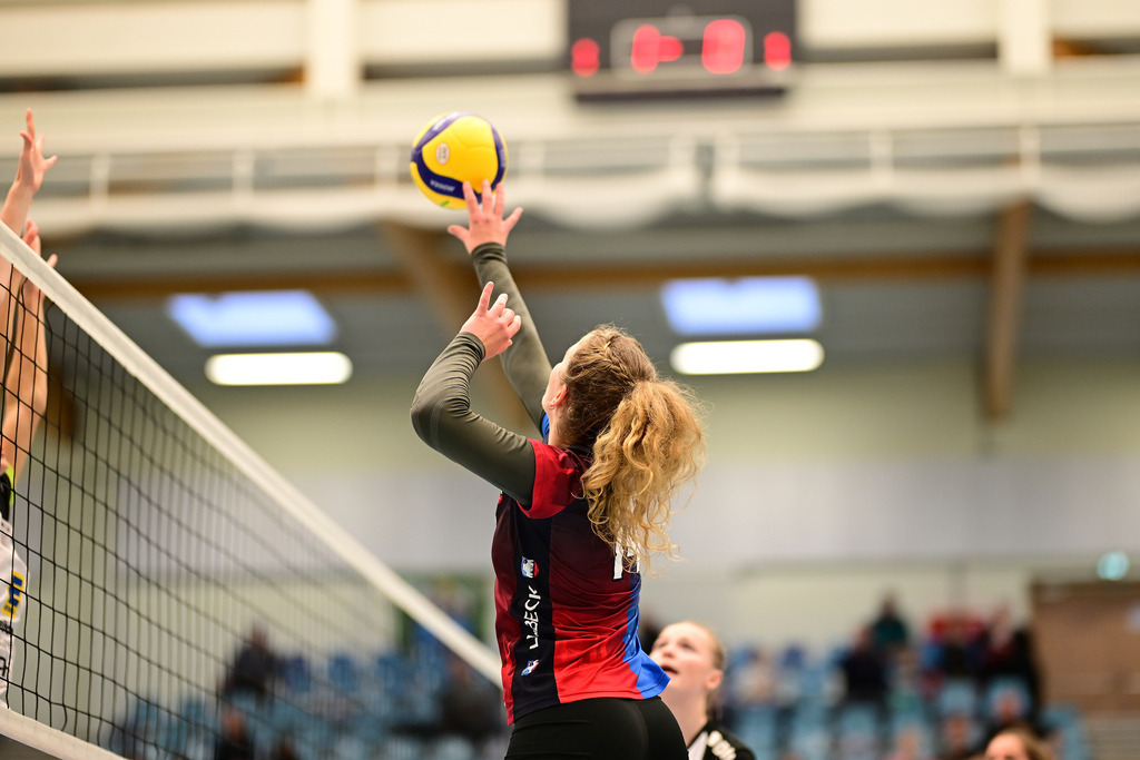 Volleyball I Frauen I Saison 2024-2025 I Regionalliga Nord I VT Hamburg - VSG Lübeck | Der Sportfotograf. - Realisiert mit Pictrs.com