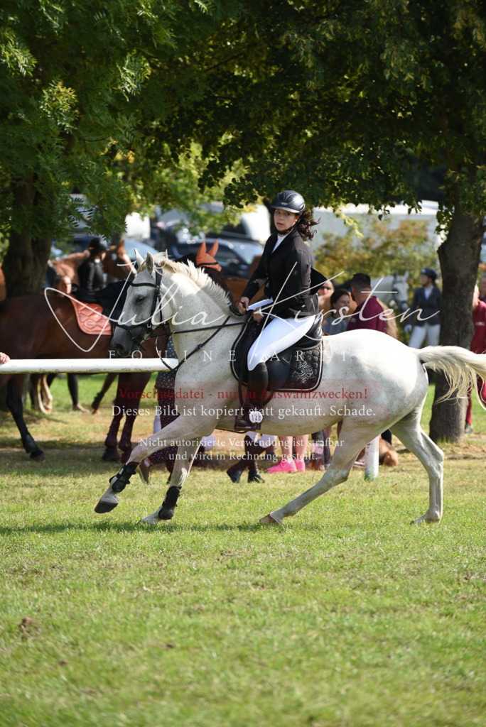 DSC_8903 | Pferde- und Turnierfotografie in Westsachsen. Pferdeportraits, Auftragszeichnungen und intuitive Kunst.