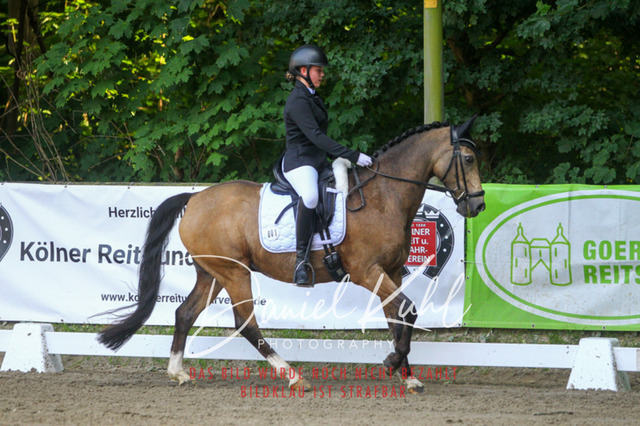 DKP42937 | Turniersportfotografie; Pferdefotografie; Dressurfotografie