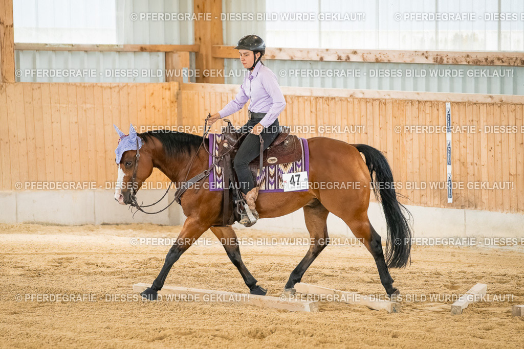 DSC07119 | Pferdegrafie