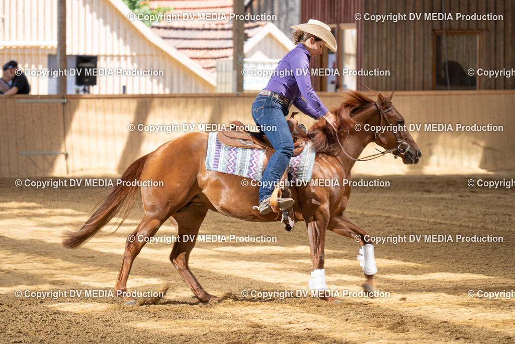 DSC00017 | dv-media-shop - Realisiert mit Pictrs.com