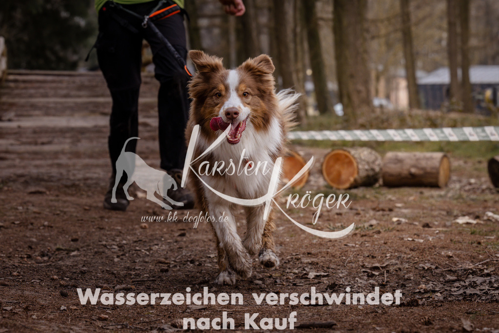 1608_ZZ93006 | kk-dogfotos
