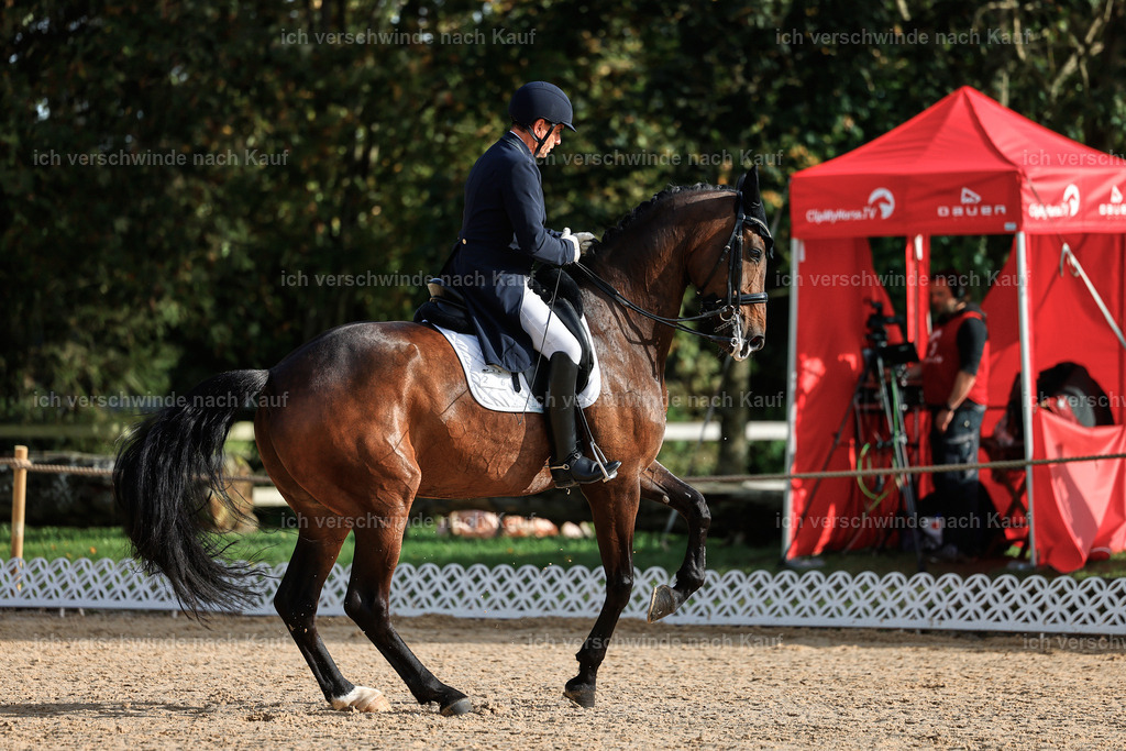 13-226-S___ -StoibPH-6925 | working equitationturnier fotograf videograf stoibphotography marixx film working equitation deutschland reitsport turnierfotografie eventfotografie equestrian events