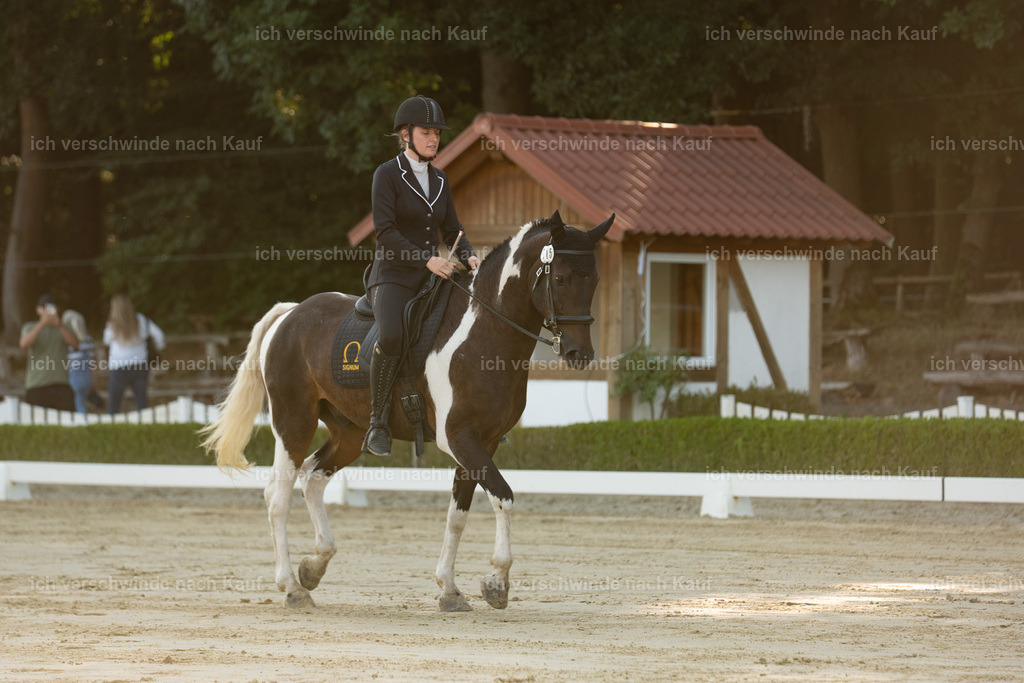 WA_DR_115_SinaFilmArt_IN00119 | working equitationturnier fotograf videograf stoibphotography marixx film working equitation deutschland reitsport turnierfotografie eventfotografie equestrian events