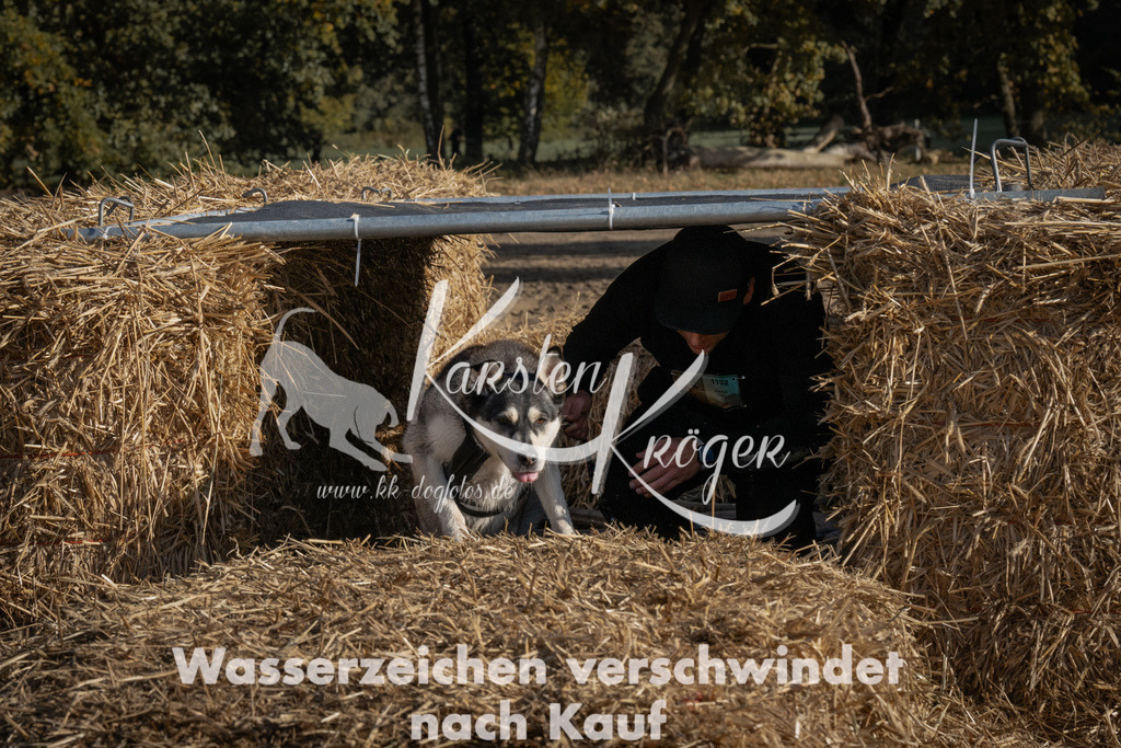 1059_ZZ99744 | kk-dogfotos