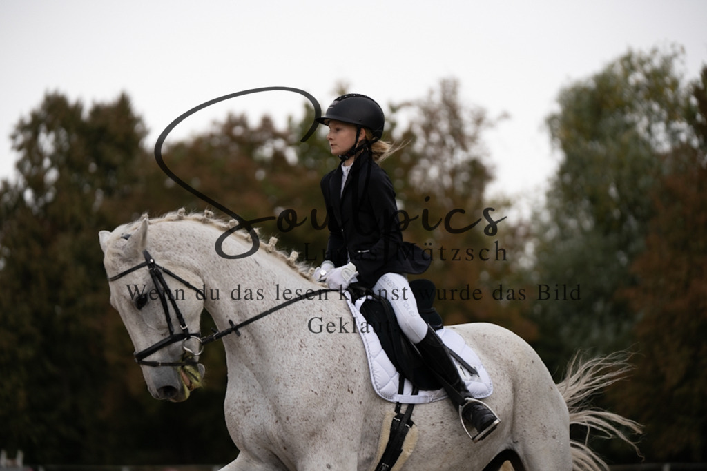 A7V05369 | Pferdefotograf