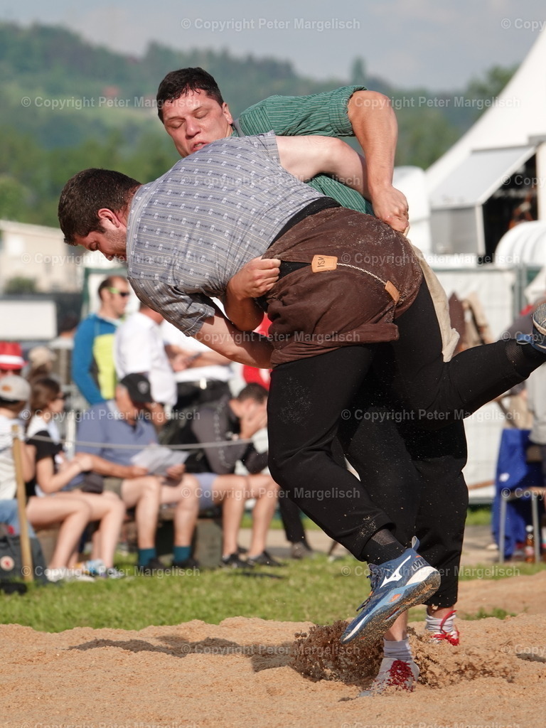 DSC06642 | Schwingen - Realisiert mit Pictrs.com