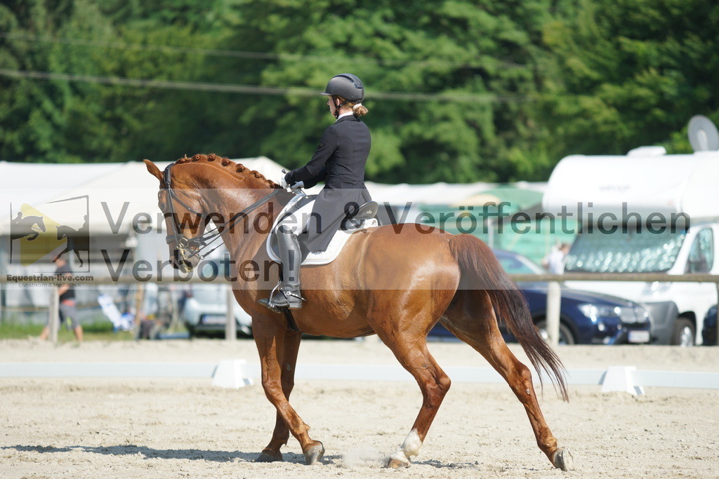DSC02451 | equestrian-live-com