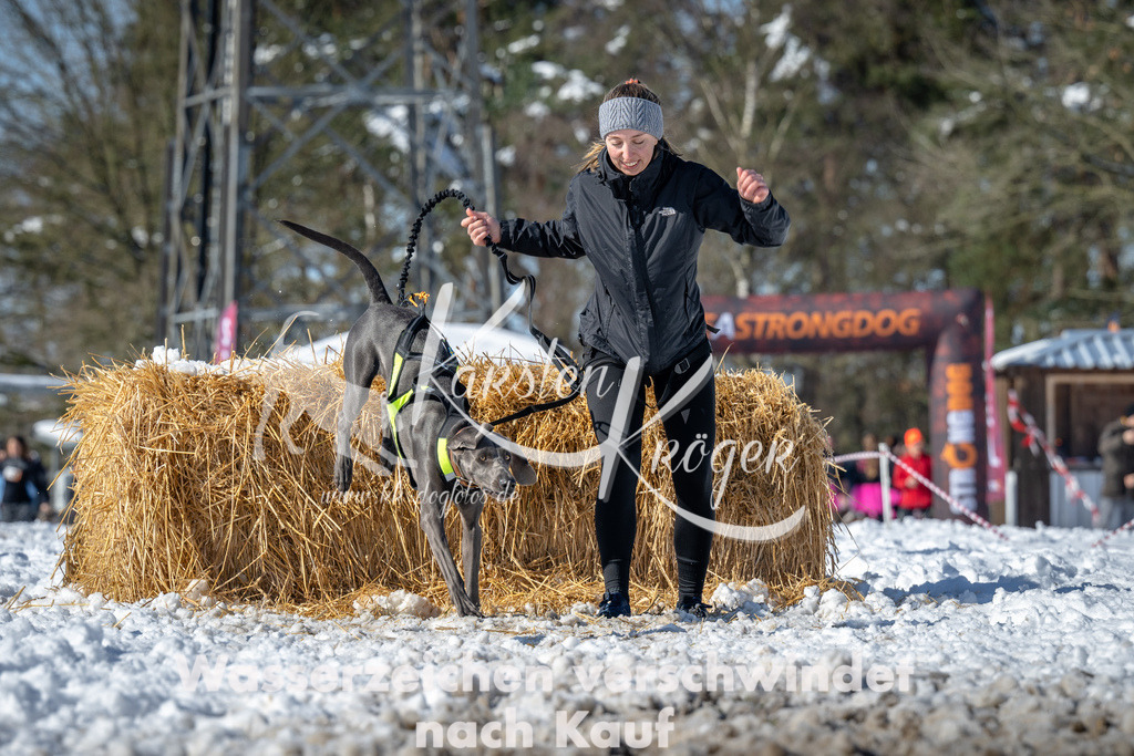 1154_ZZ91544-4 | kk-dogfotos