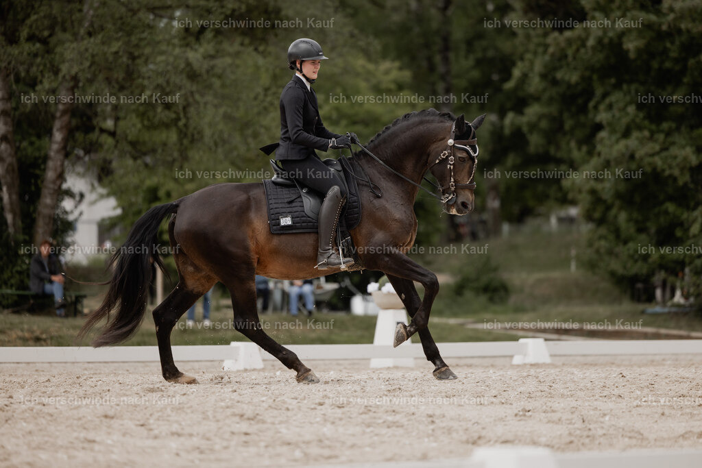 WE_DR_Stoib_309_PI2025_801 | Pferd International München 2025