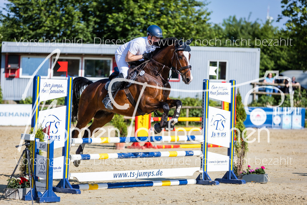 Donop24-ASpr-081 | MomenTaufnahmen Pferdesportfotos